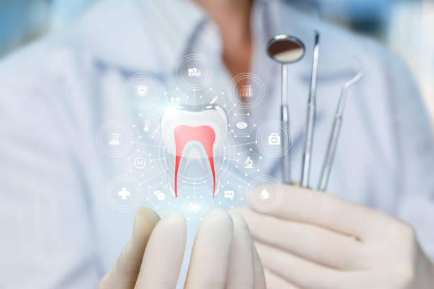  Shpee Neck, MA Holistic Dental Services Pros